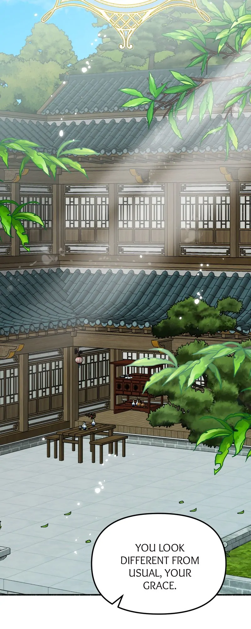 50280660 800 2000 184066